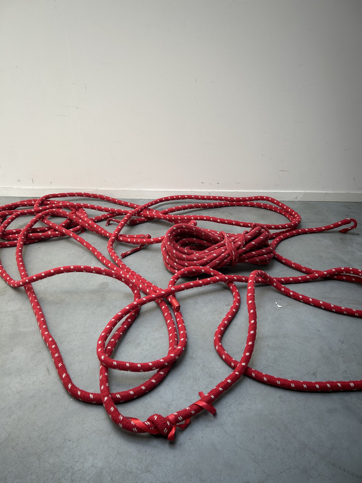 Lang rood touw - trektouw (per touw)